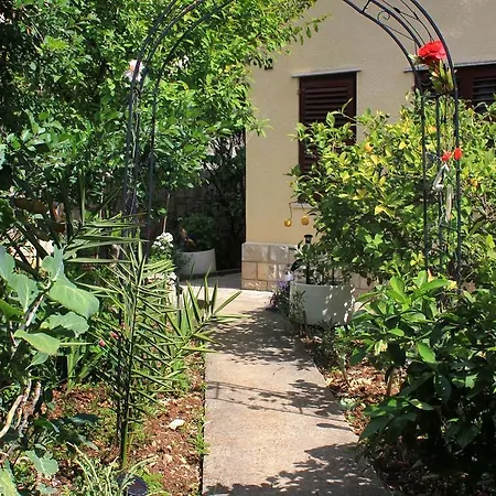 Zaton Veliki 8976a דירה זאטון